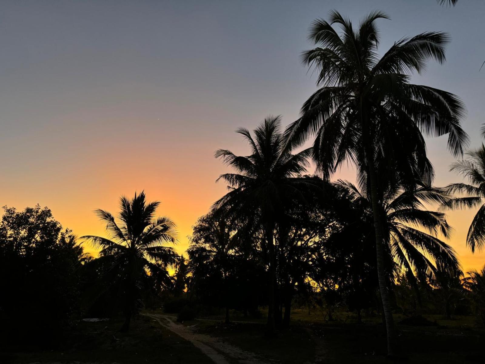 Mafia Island Bungalows Utende エクステリア 写真